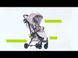 фото Коляска для ребенка прогуянчивая FreeON LUX Premium Light Grey-Black